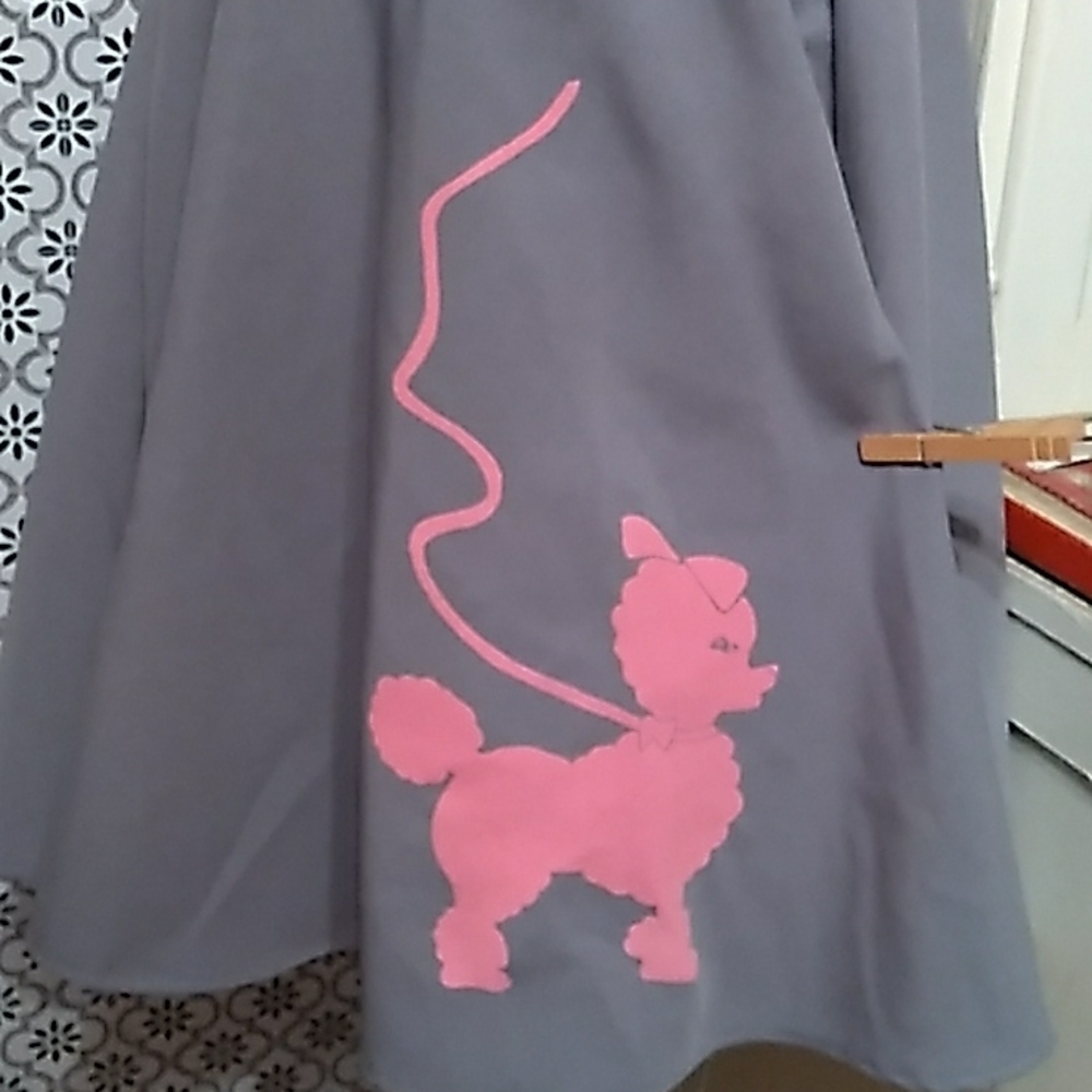 Homemade poddle skirt Halloween costume party